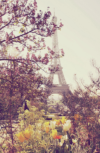 parisy.png